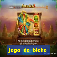 jogo do bicho tipos de apostas